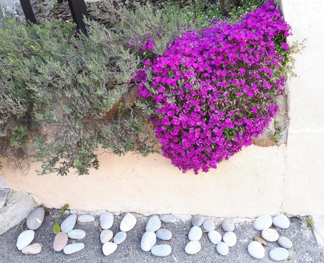 Bed and Breakfast Lou Mas Dau Paigran Saint-Blaise  Esterno foto