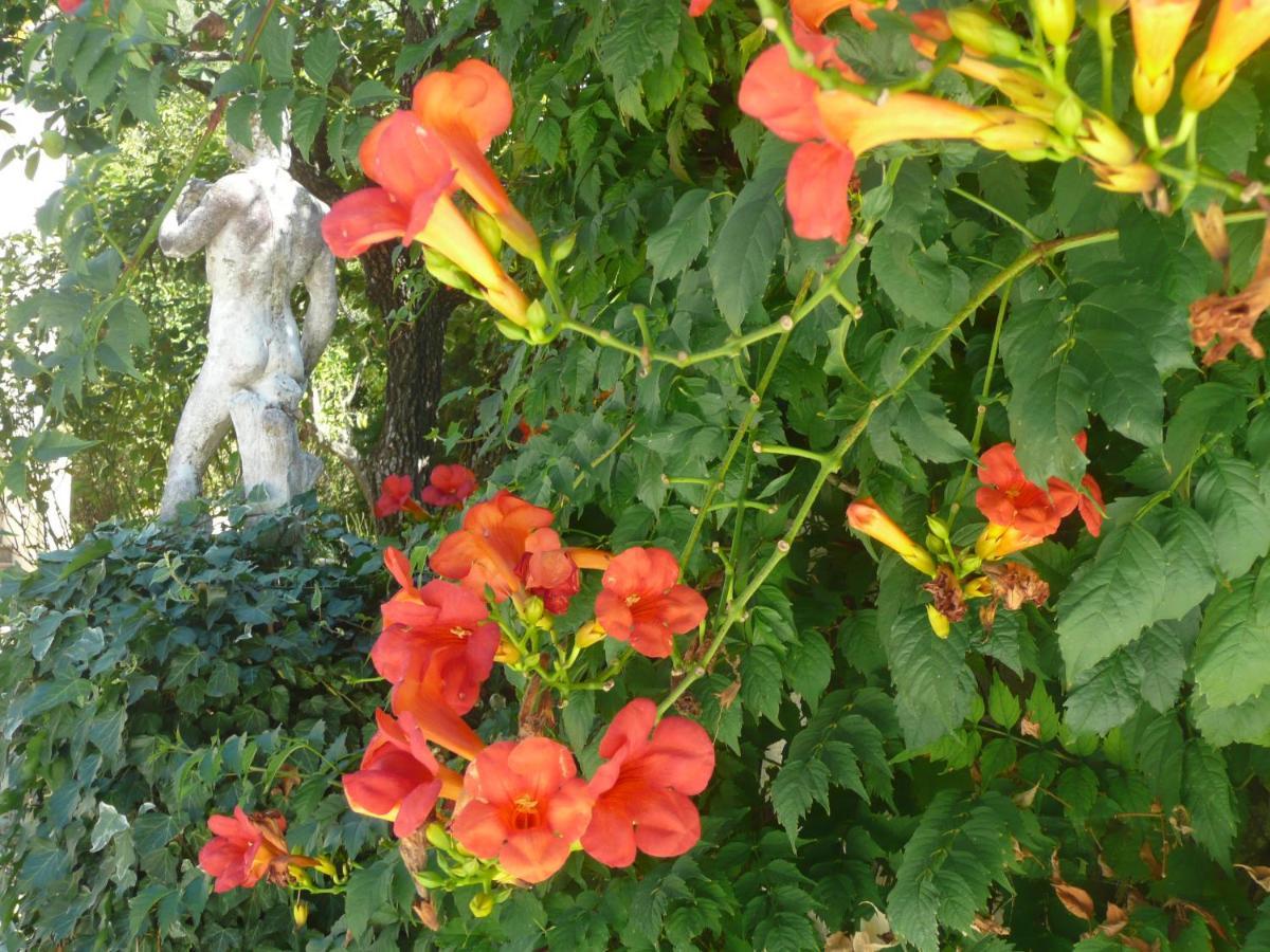 Bed and Breakfast Lou Mas Dau Paigran Saint-Blaise  Esterno foto