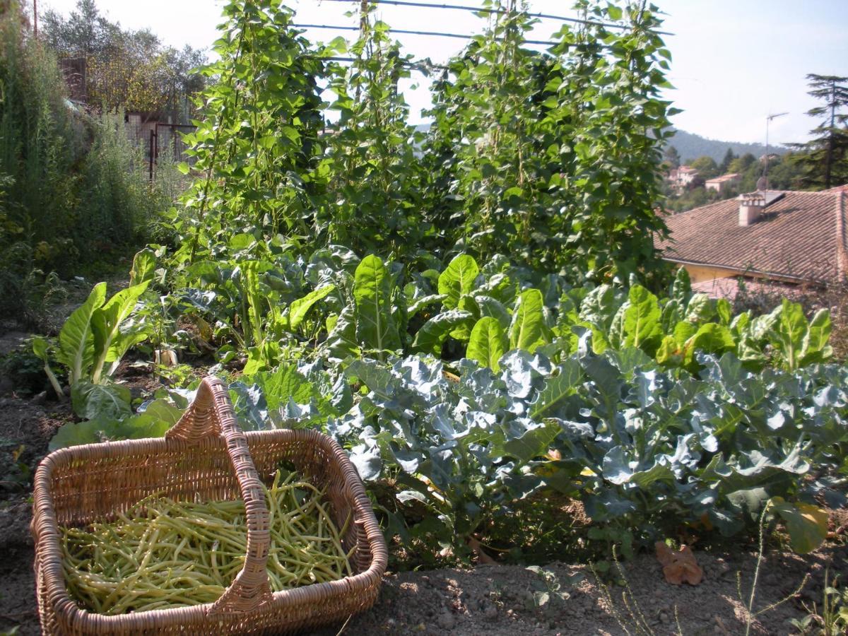 Bed and Breakfast Lou Mas Dau Paigran Saint-Blaise  Esterno foto